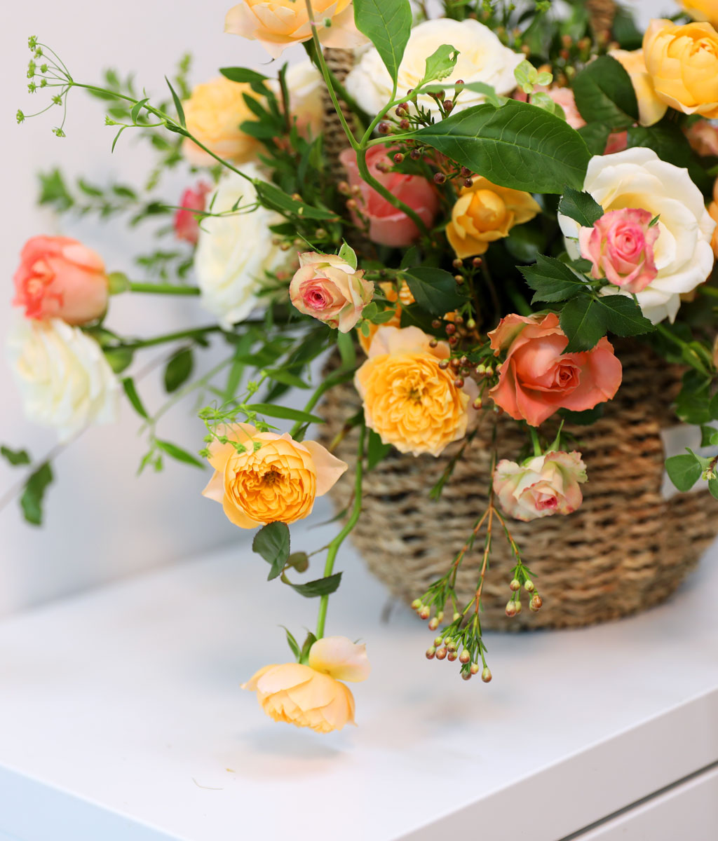 Coral Autumn Bliss    ɹ