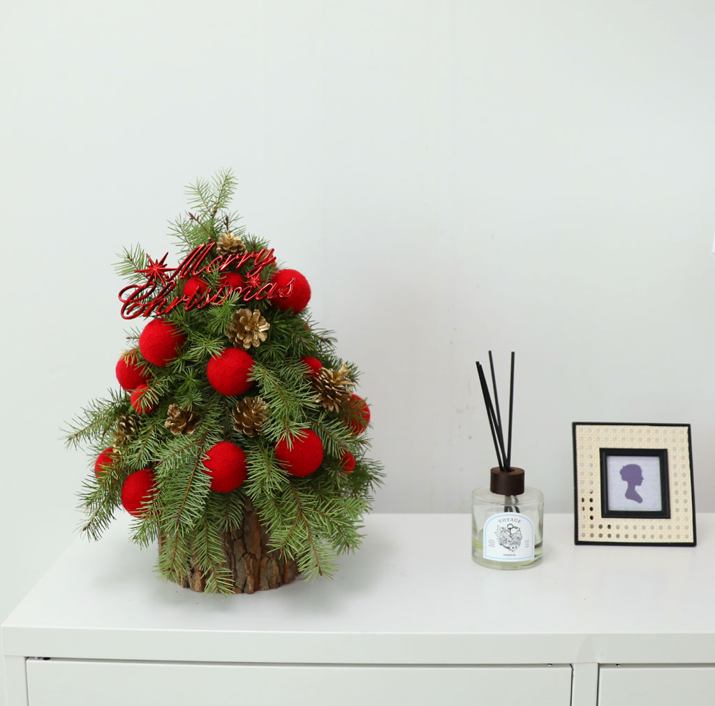 CHRISTMAS KISS - WINTER LOVE  ɹ