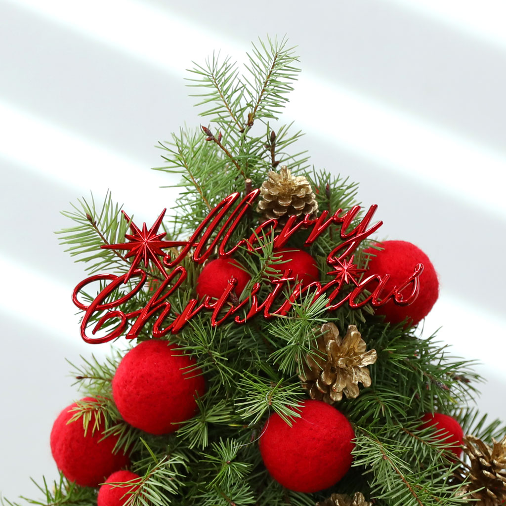 CHRISTMAS KISS - WINTER LOVE  ɹ