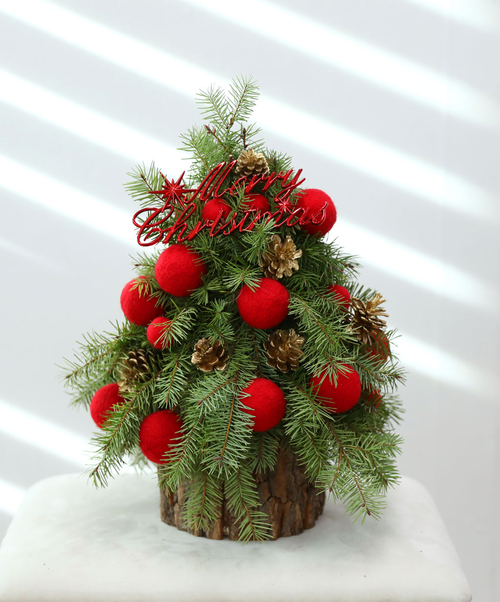 CHRISTMAS KISS - WINTER LOVE  ɹ