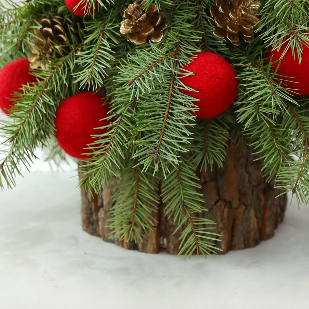 CHRISTMAS KISS - WINTER LOVE  ɹ