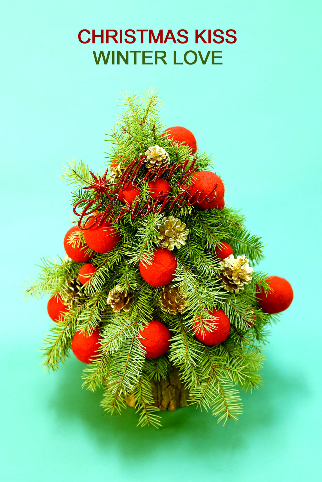 CHRISTMAS KISS - WINTER LOVE  ɹ