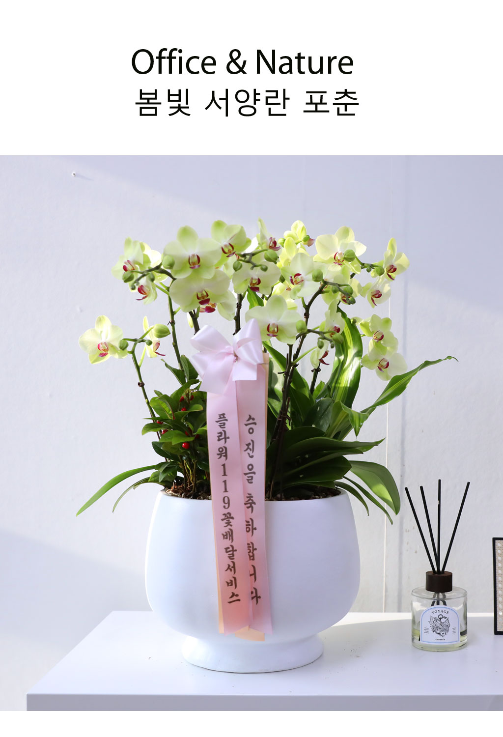 Office & Nature     ɹ