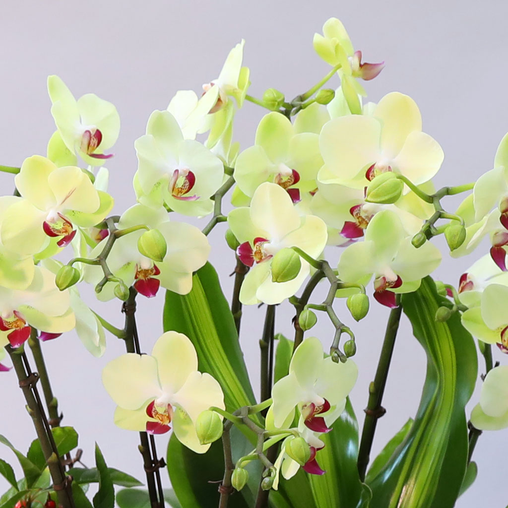 Office & Nature     ɹ