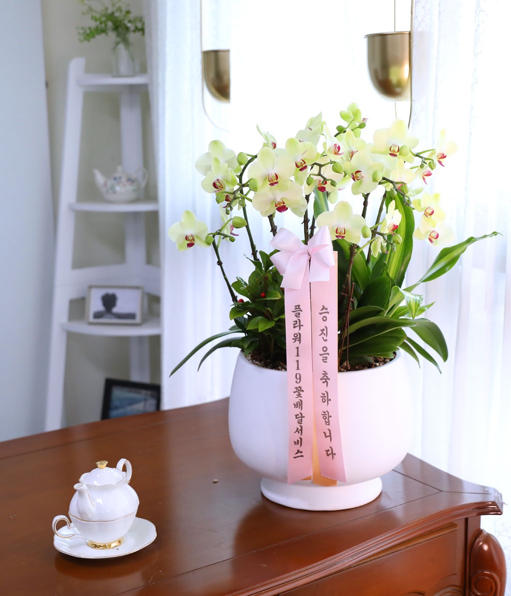 Office & Nature     ɹ