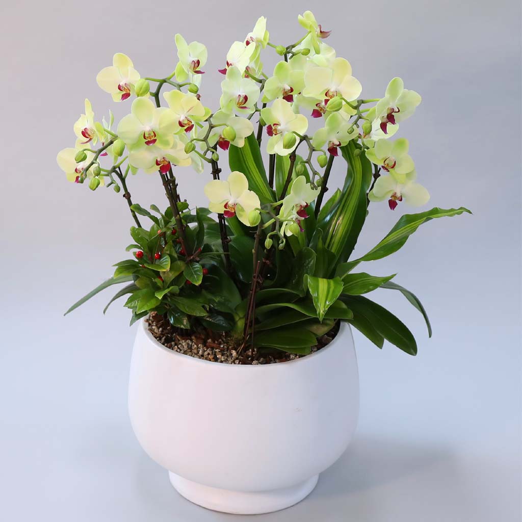 Office & Nature     ɹ