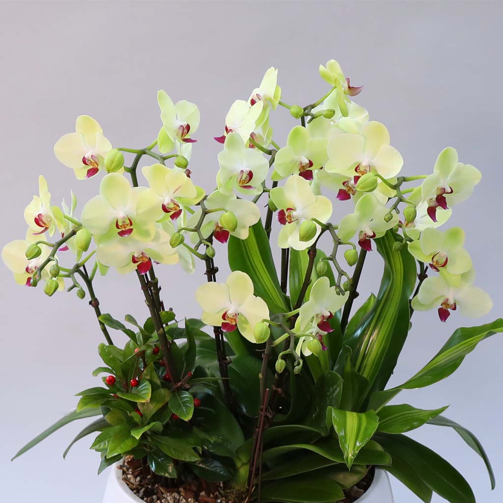 Office & Nature     ɹ