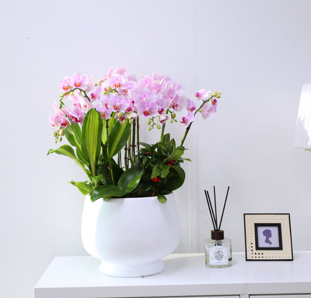 Office & Nature ÇÎũȣÁ¢¶õ