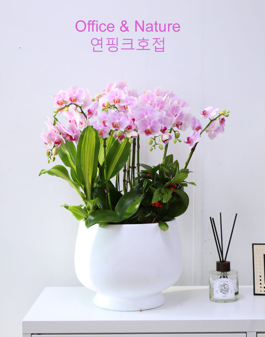 Office & Nature ÇÎũȣÁ¢¶õ