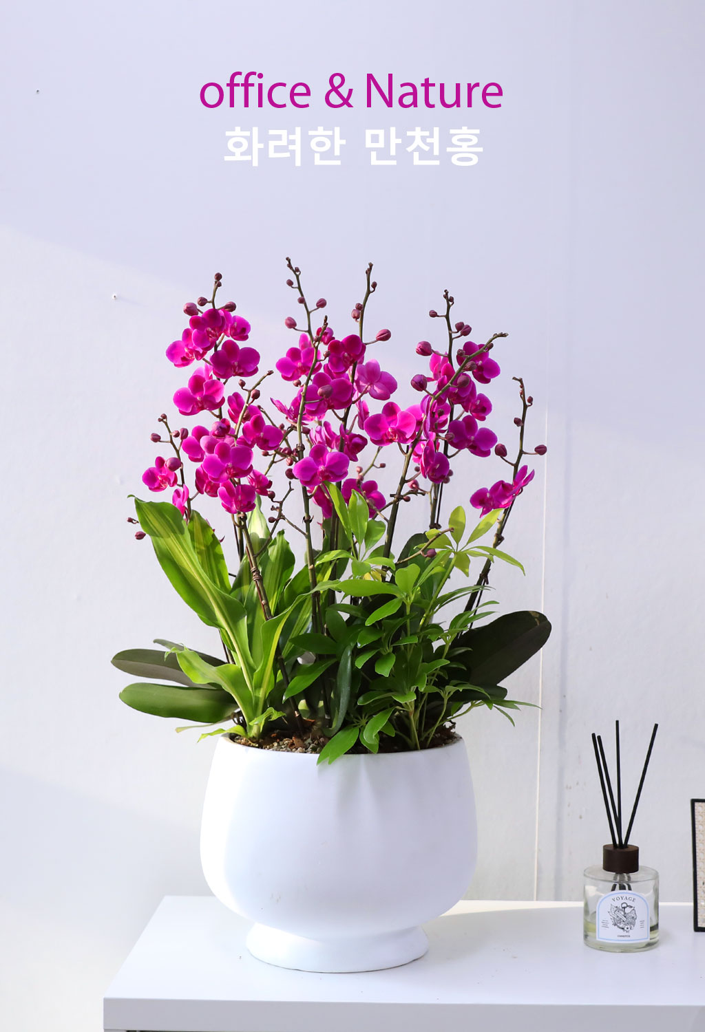 Office & Nature È·ÁÇÑ ¸¸ÃµÈ«