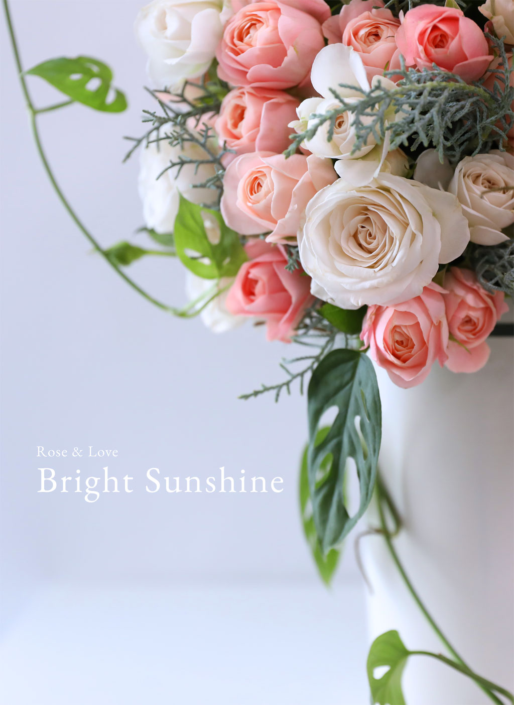 Rose & Love - Bright Sunshine