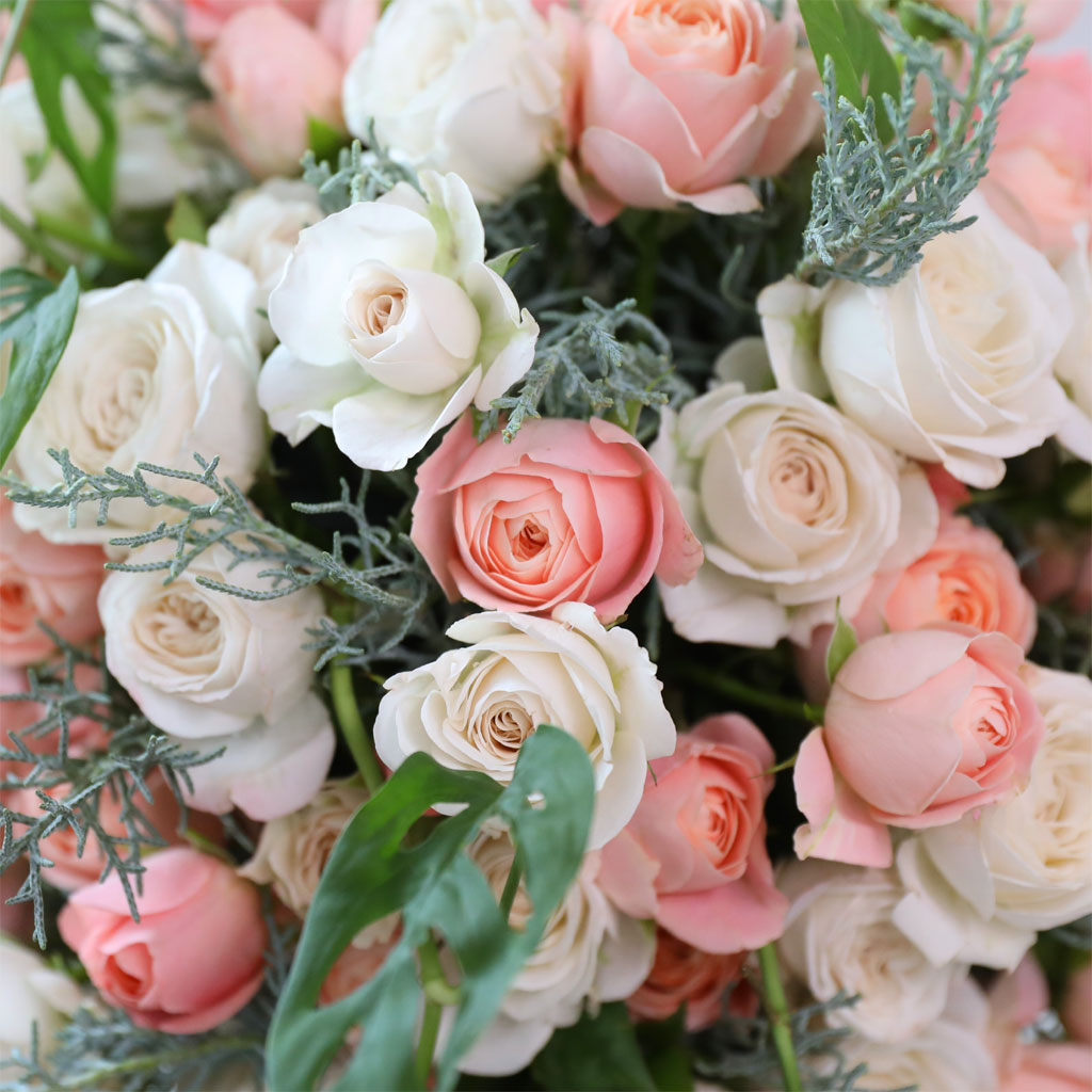 Rose & Love - Bright Sunshine