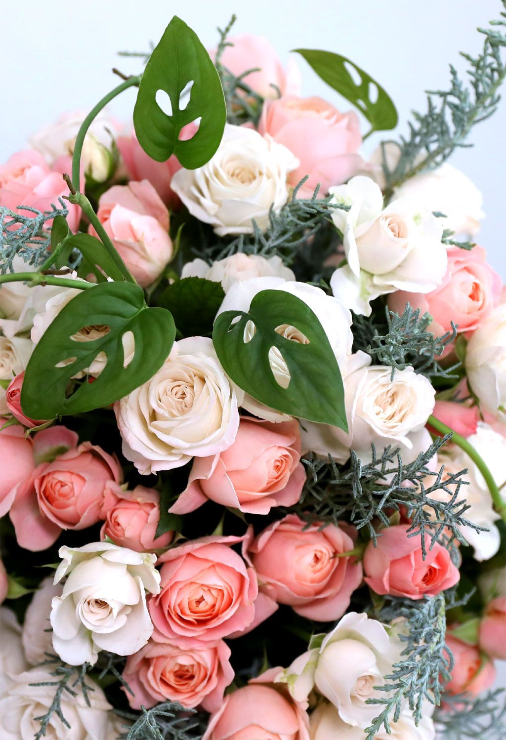 Rose & Love - Bright Sunshine