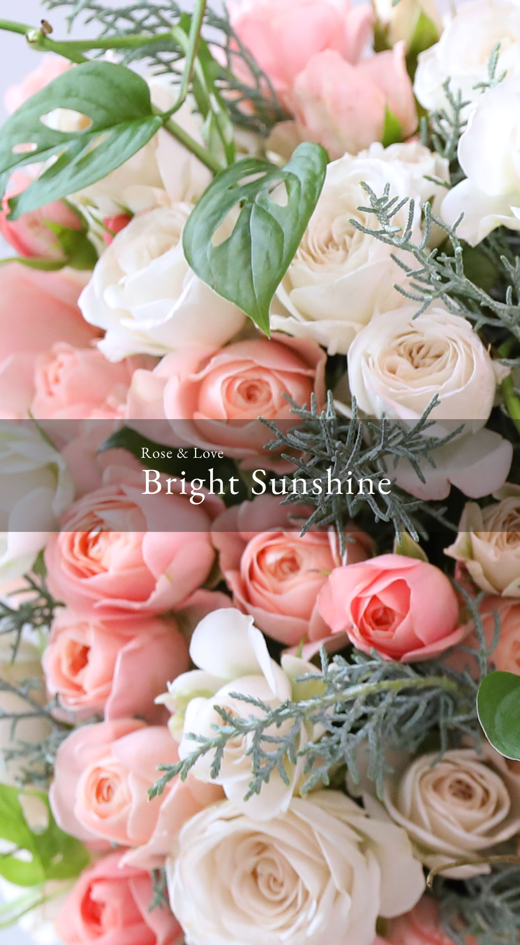 Rose & Love - Bright Sunshine