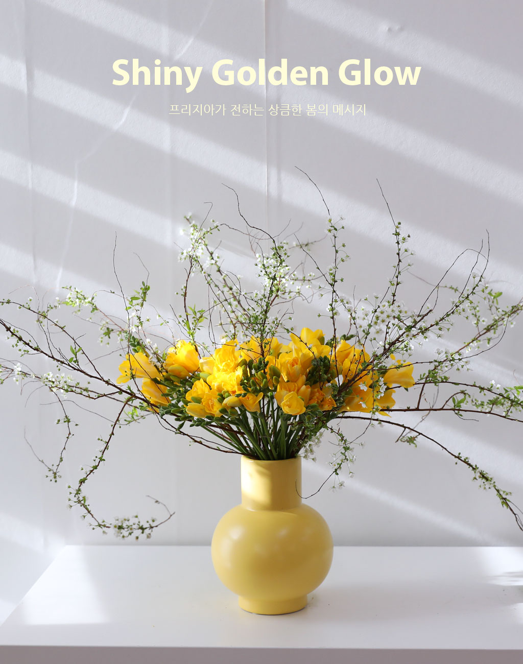 Shyny Golden Glow(ȭ����ǰ) ���� �ɹ��