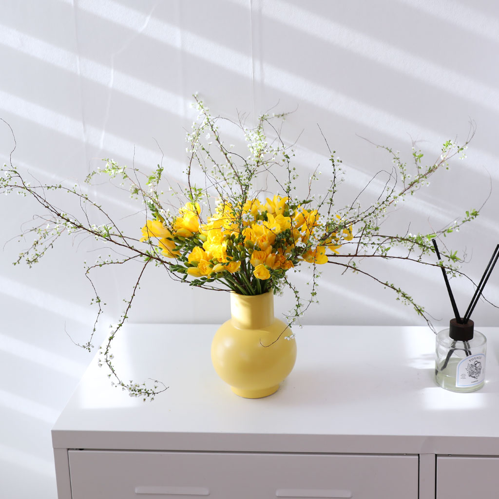 Shyny Golden Glow(ȭ����ǰ) ���� �ɹ��