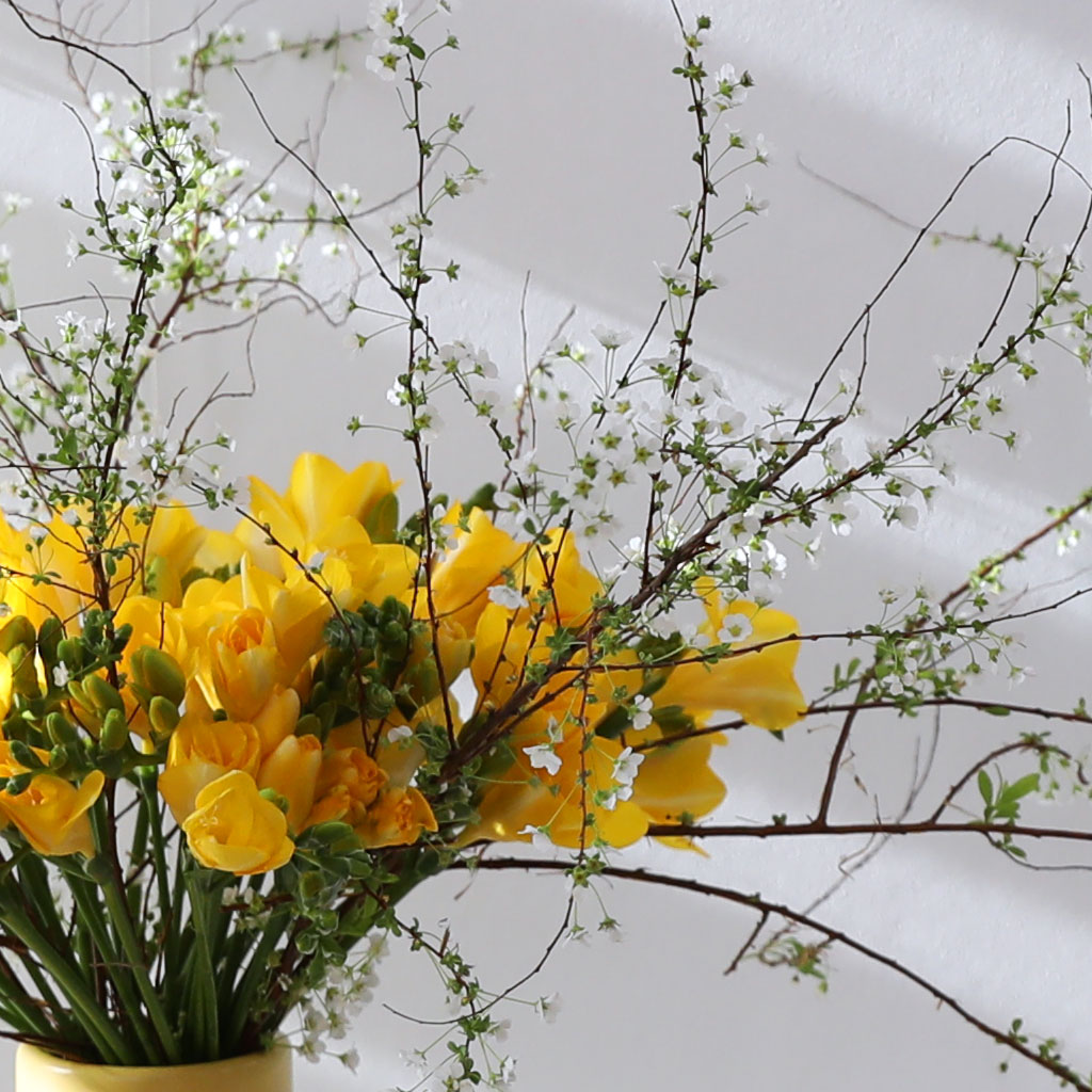 Shyny Golden Glow(ȭ����ǰ) ���� �ɹ��