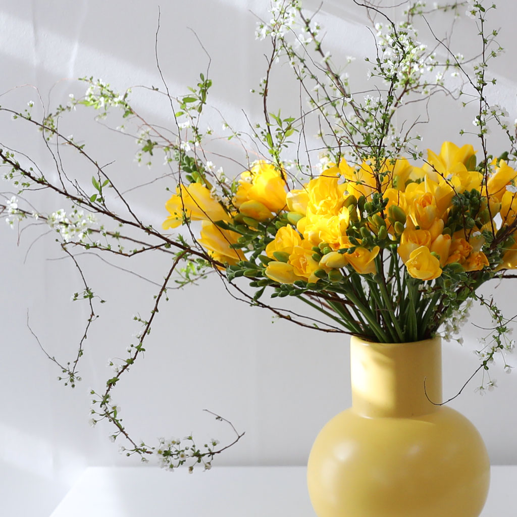 Shyny Golden Glow(ȭ����ǰ) ���� �ɹ��