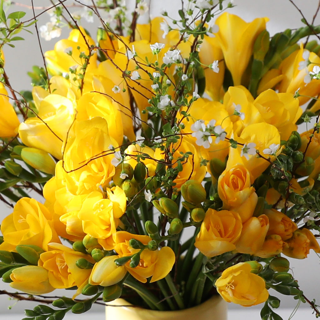 Shyny Golden Glow(ȭ����ǰ) ���� �ɹ��