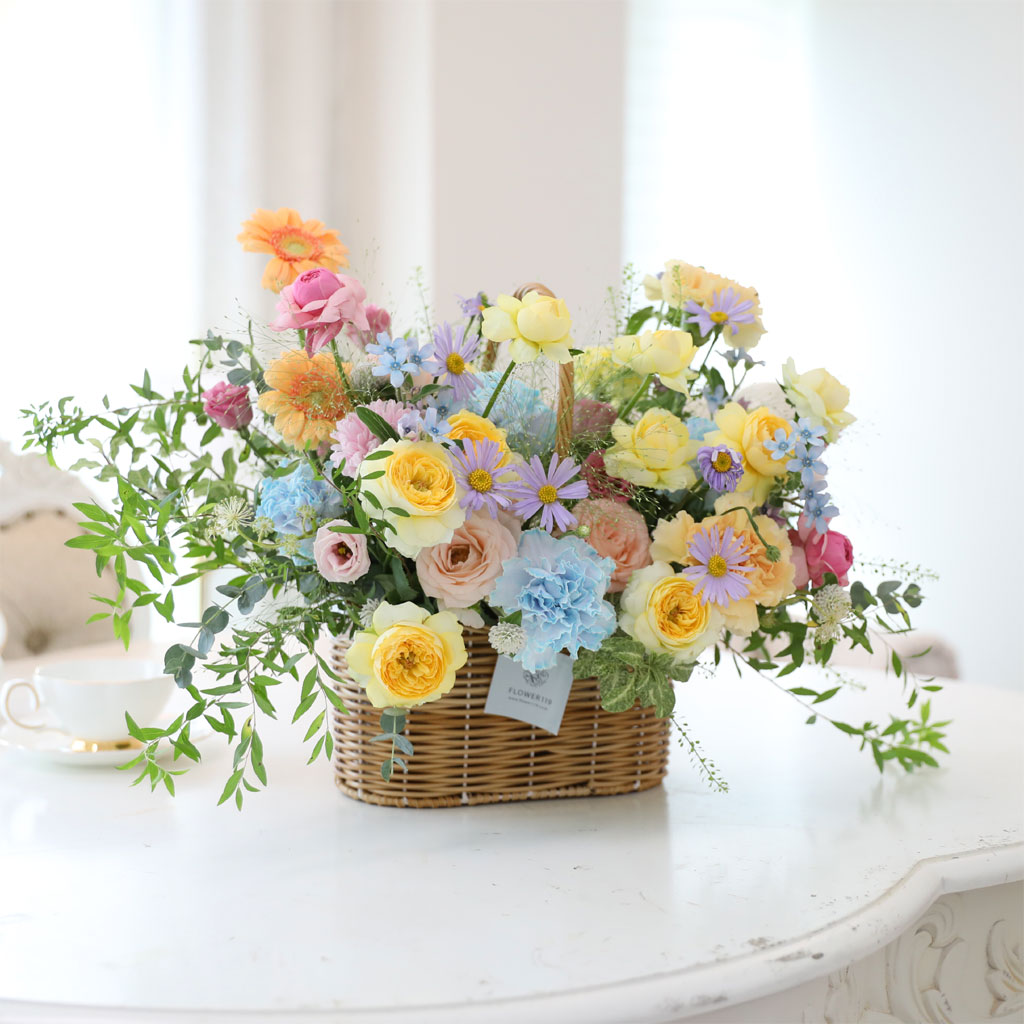 ¿À»öºû±ò ²É ¹«Áö°³ ²ÉÁý ²É¹è´Þ