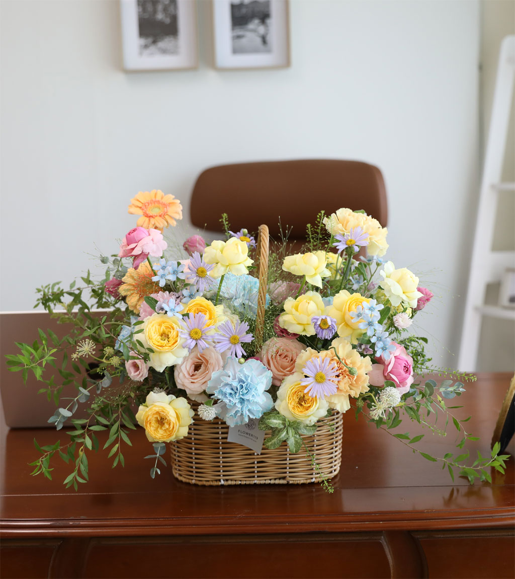 ¿À»öºû±ò ²É ¹«Áö°³ ²ÉÁý ²É¹è´Þ