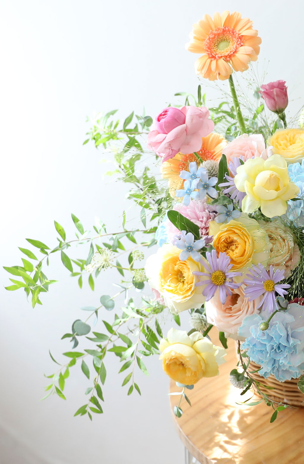 ¿À»öºû±ò ²É ¹«Áö°³ ²ÉÁý ²É¹è´Þ