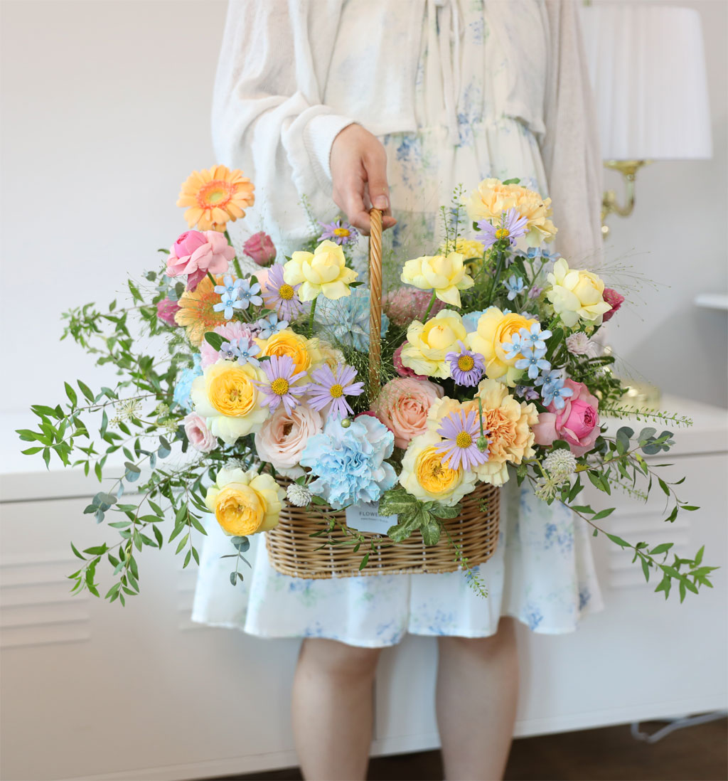 ¿À»öºû±ò ²É ¹«Áö°³ ²ÉÁý ²É¹è´Þ