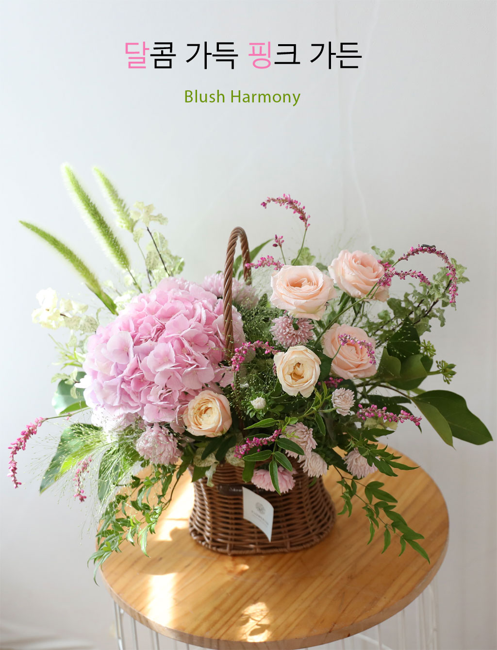 ´ÞÄÞ °¡µæ ÇÎÅ© °¡µç ²ÉÁý ²É¹è´Þ