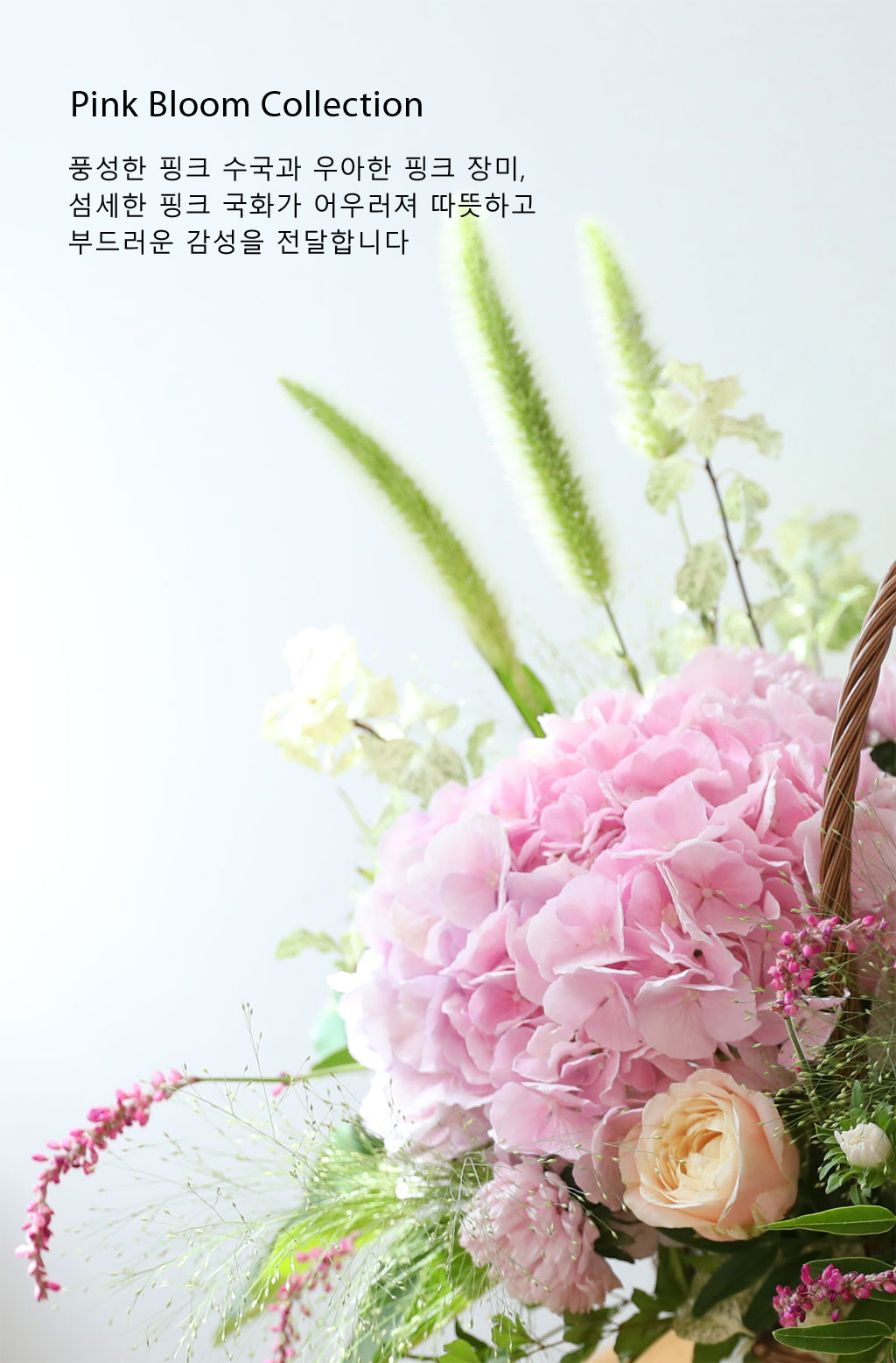 ´ÞÄÞ °¡µæ ÇÎÅ© °¡µç ²ÉÁý ²É¹è´Þ