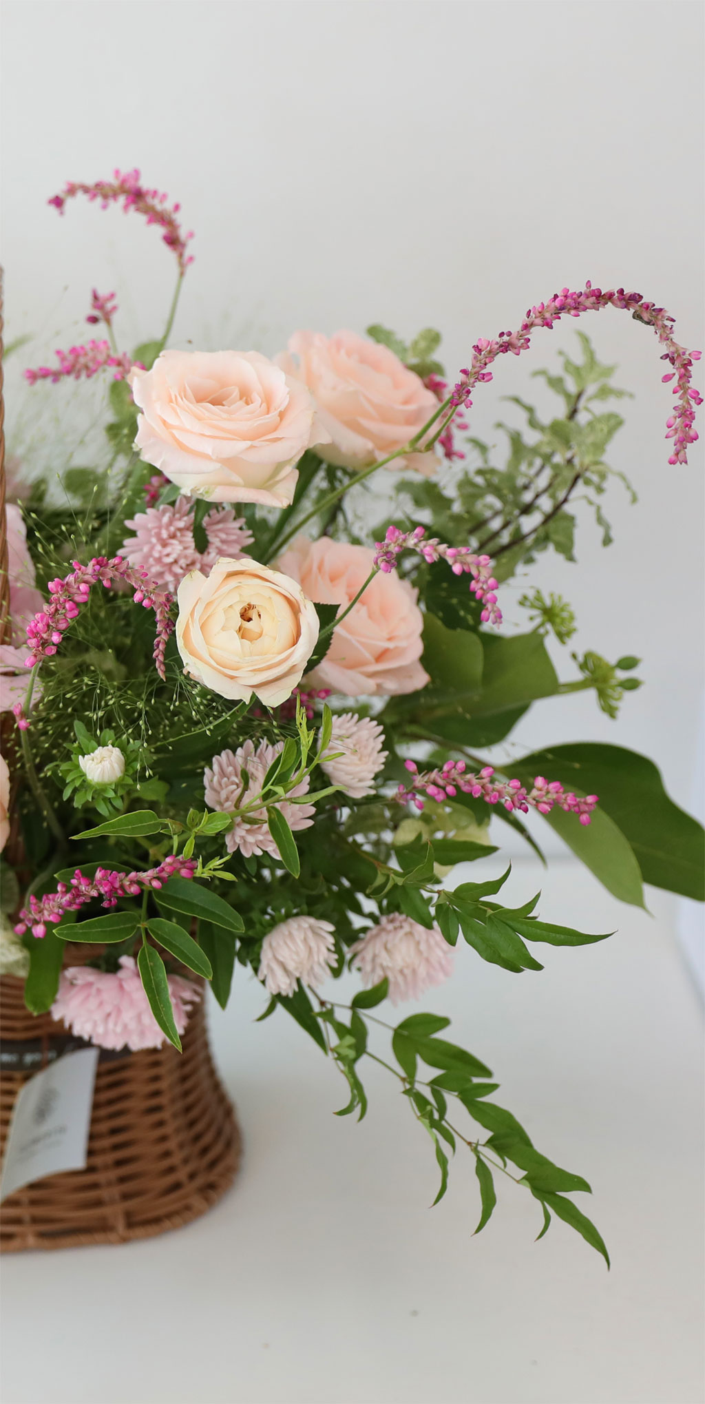 ´ÞÄÞ °¡µæ ÇÎÅ© °¡µç ²ÉÁý ²É¹è´Þ