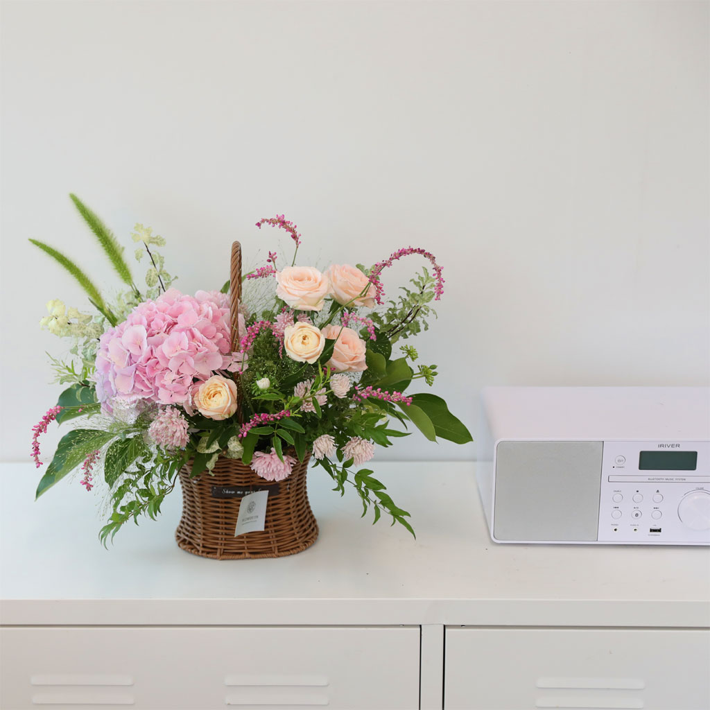 ´ÞÄÞ °¡µæ ÇÎÅ© °¡µç ²ÉÁý ²É¹è´Þ