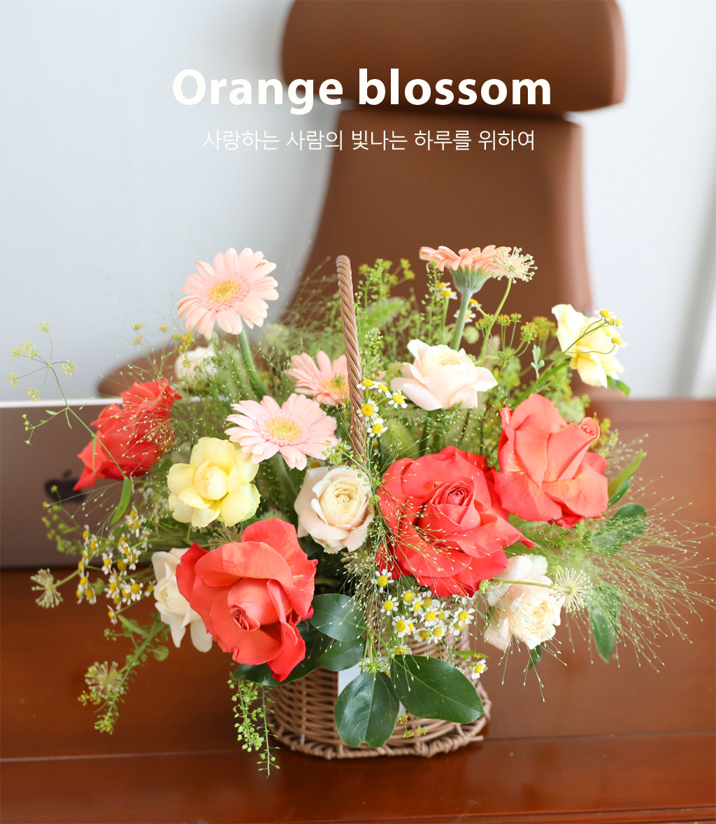Orange blossom  ɹ