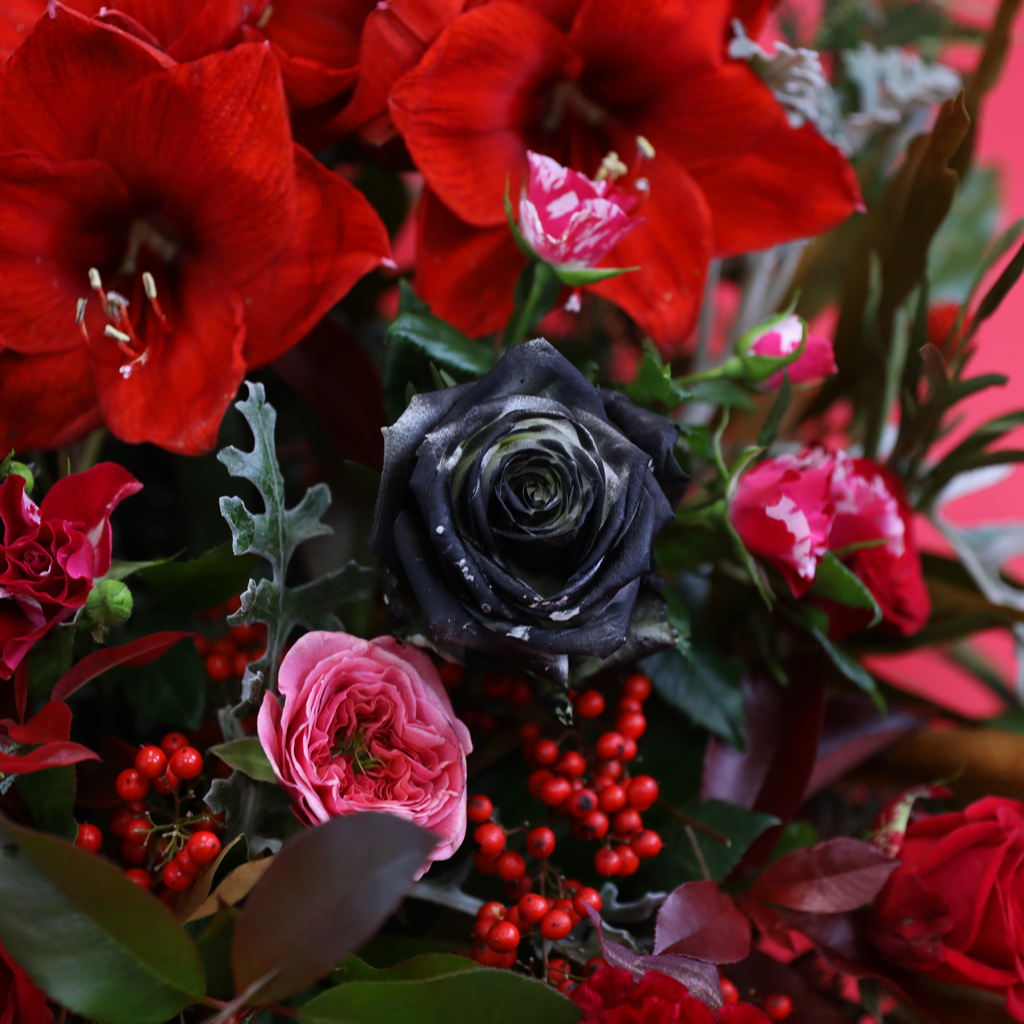 Ruby Noël Bloom Box  ɹ