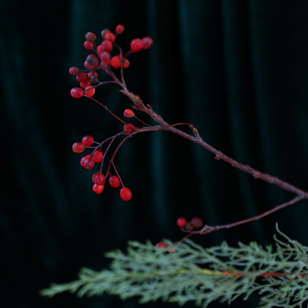 Christmas Ornament Vase  ɹ