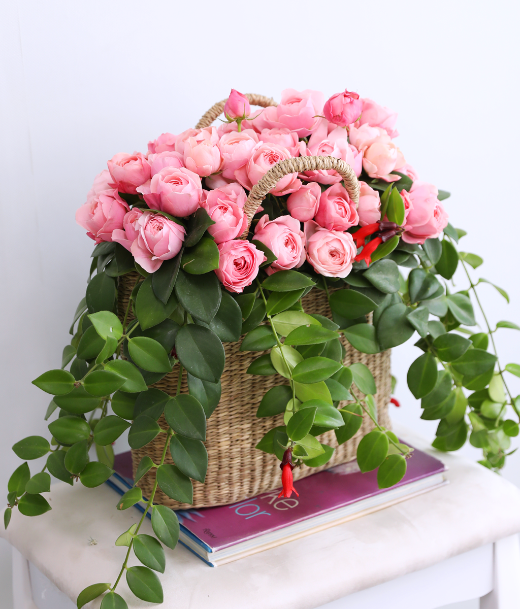 Romatic Rose ���� �ɹ��