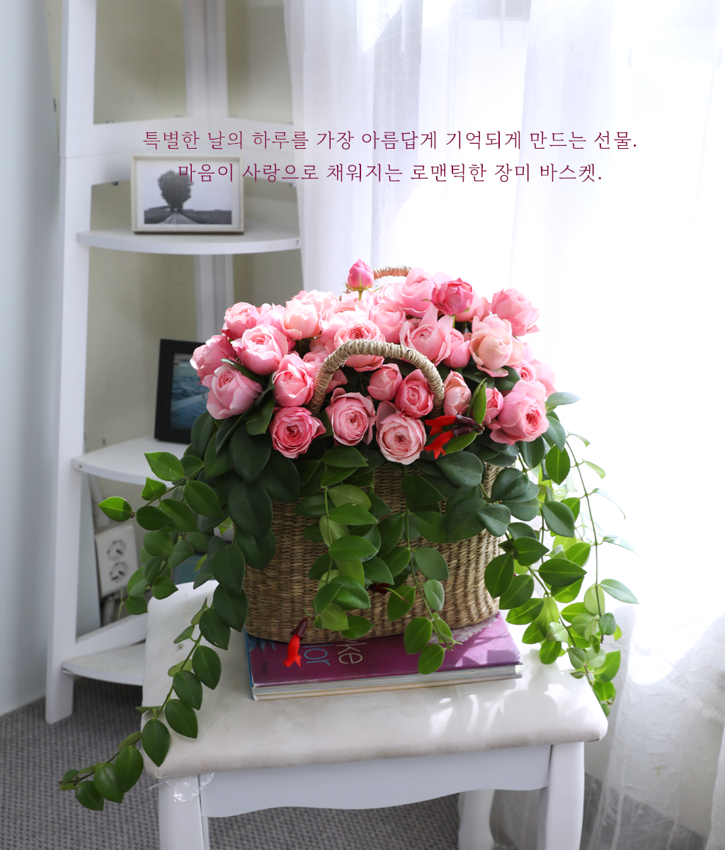 Romatic Rose ���� �ɹ��