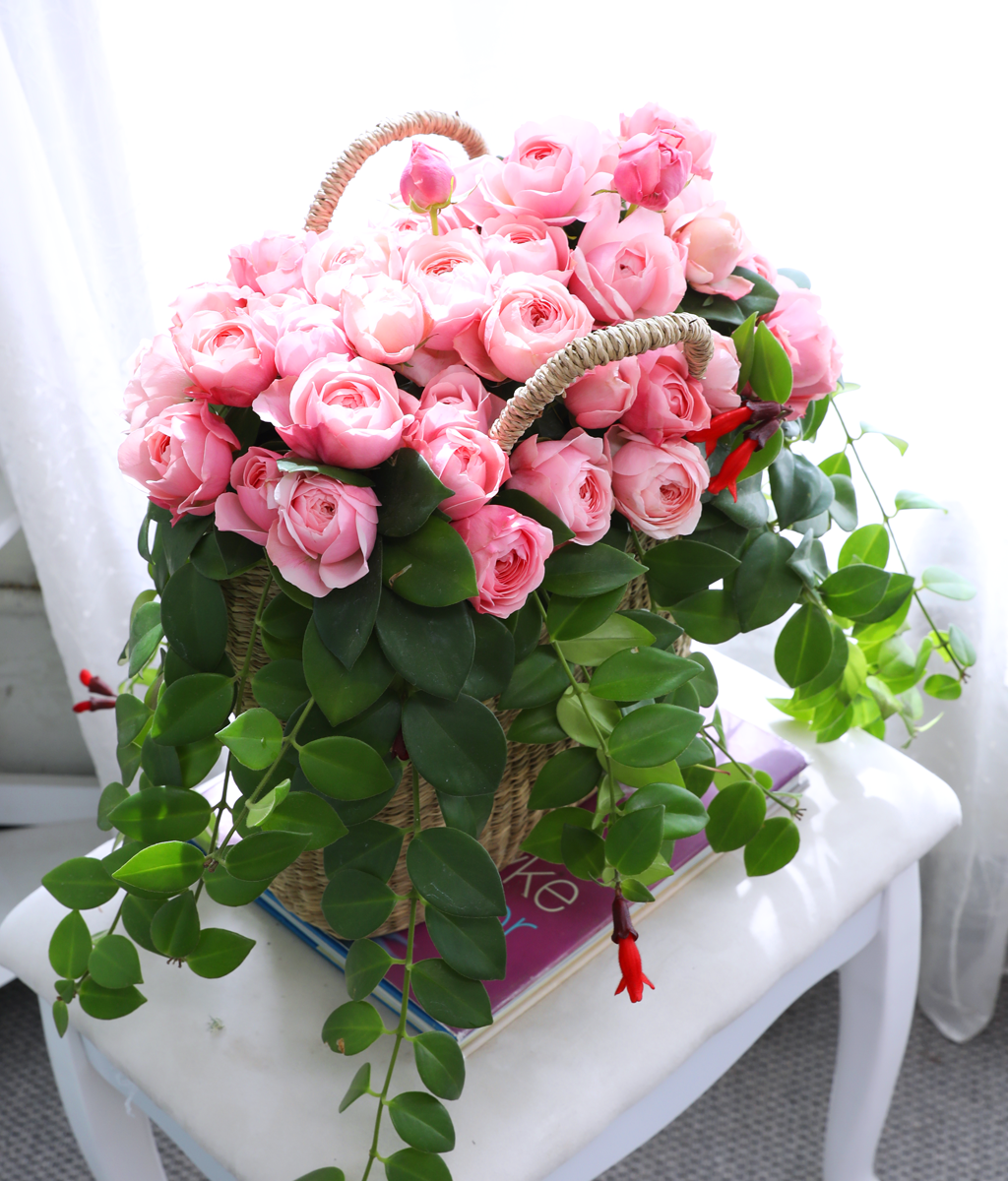 Romatic Rose ���� �ɹ��