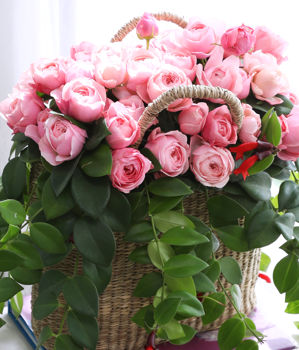 Romatic Rose ���� �ɹ��