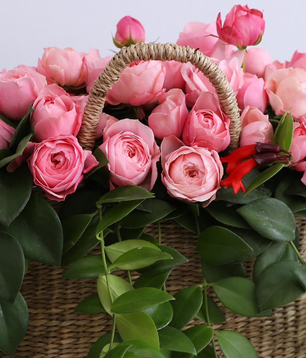 Romatic Rose ���� �ɹ��