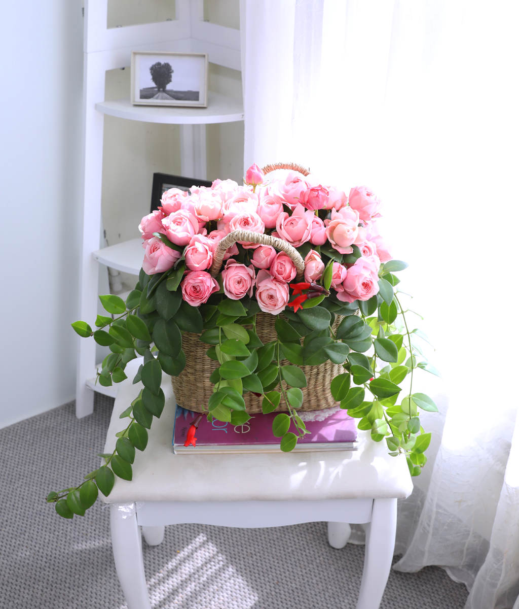 Romatic Rose ���� �ɹ��
