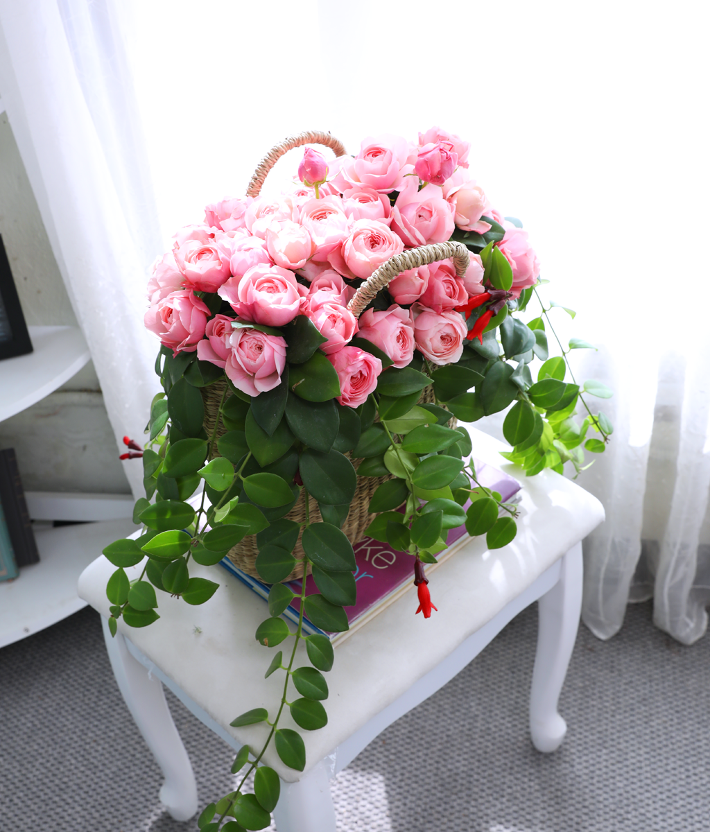 Romatic Rose ���� �ɹ��