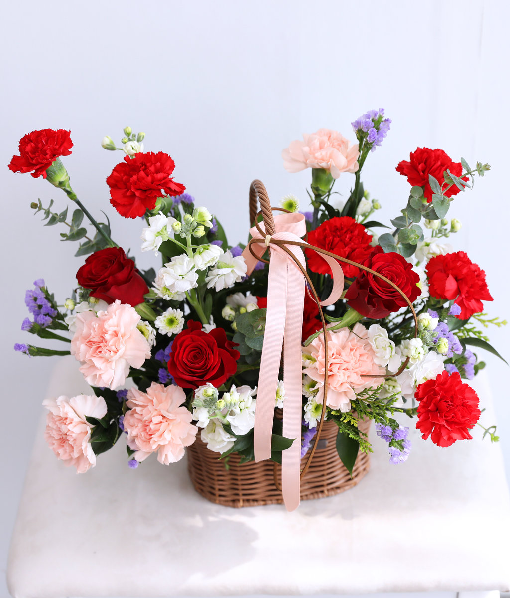 Dancing Red Rouge Basket ���� �ɹ��