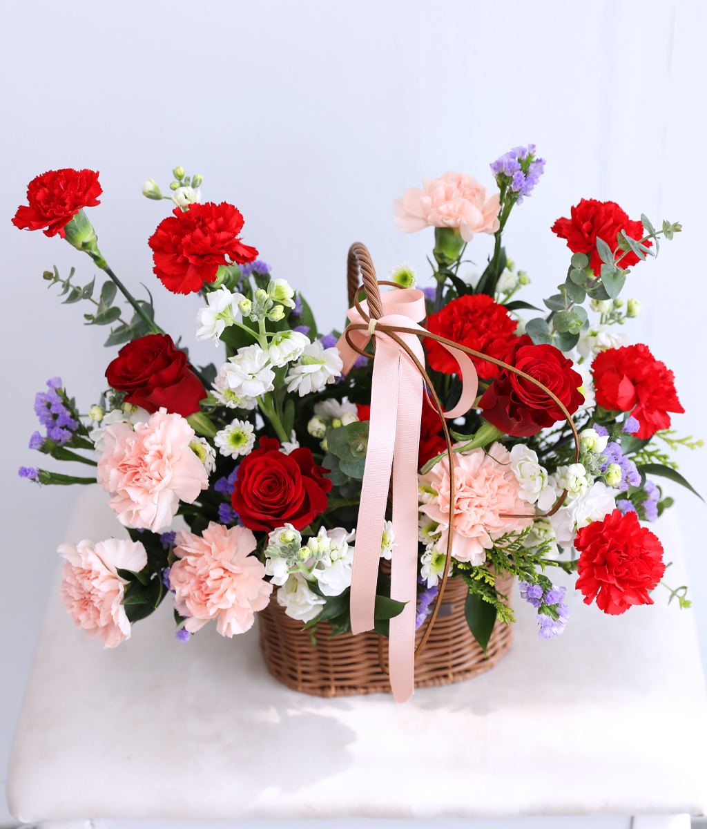 Dancing Red Rouge Basket ���� �ɹ��