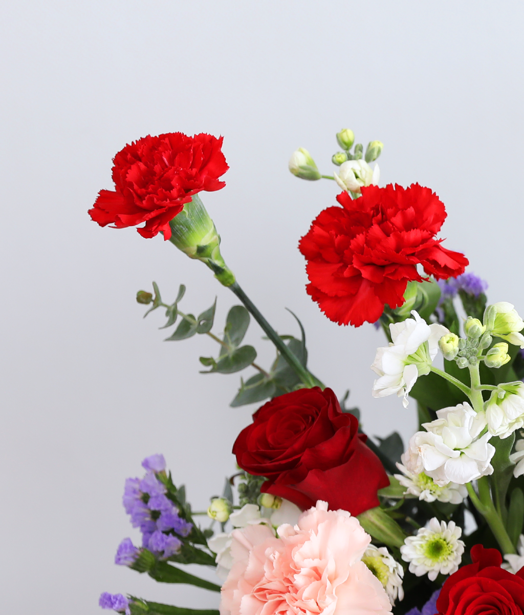 Dancing Red Rouge Basket ���� �ɹ��