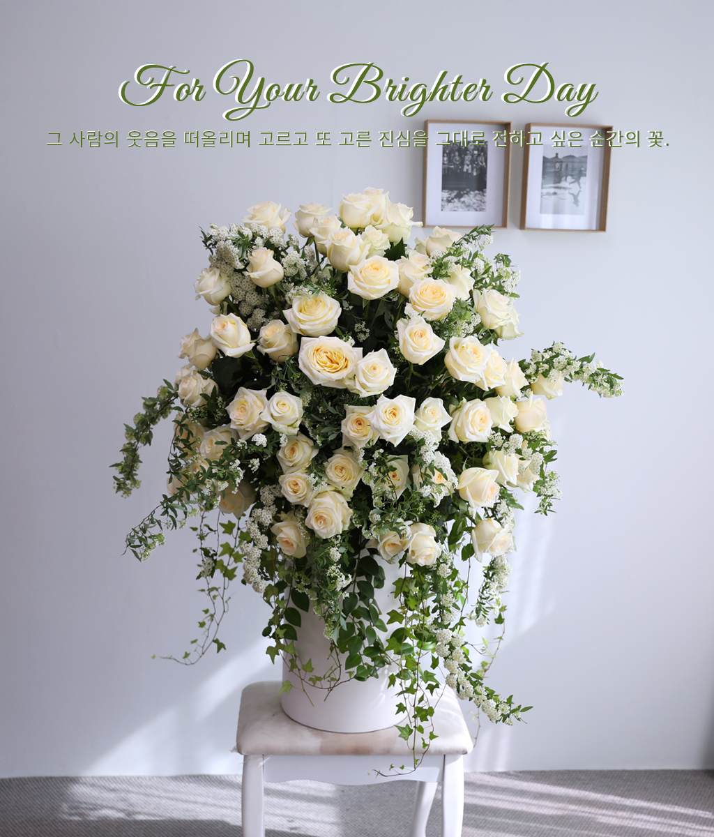 For Your Brighter Day ���� �ɹ��