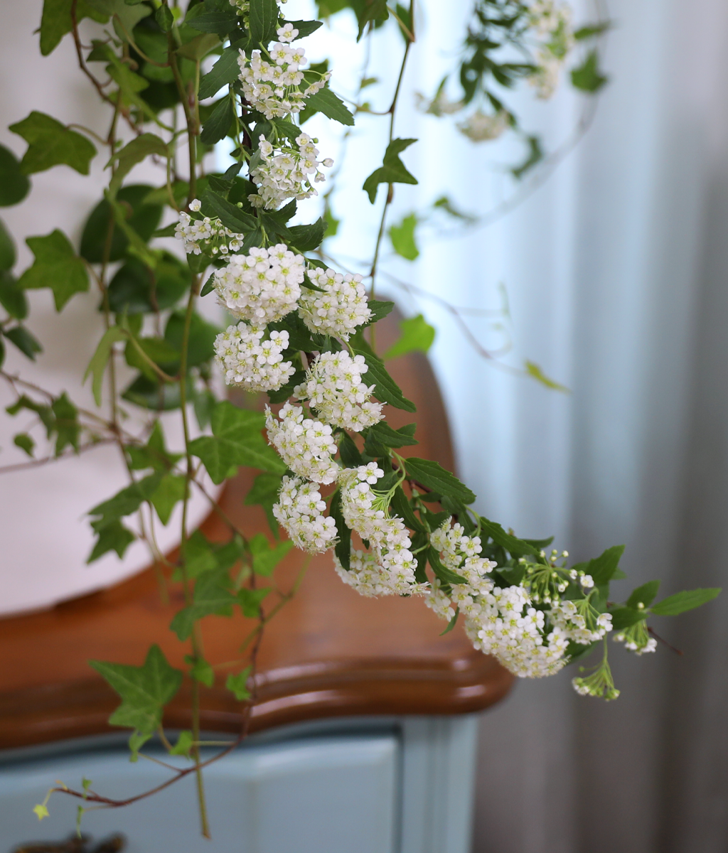 For Your Brighter Day ���� �ɹ��