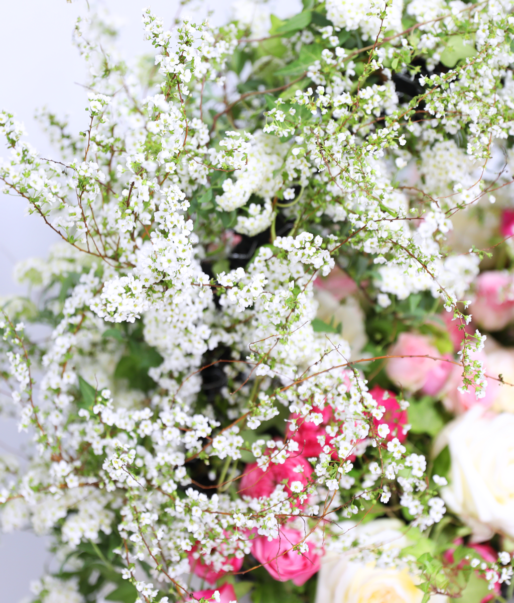 Wrapped in Warm Blessings ���� �ɹ��