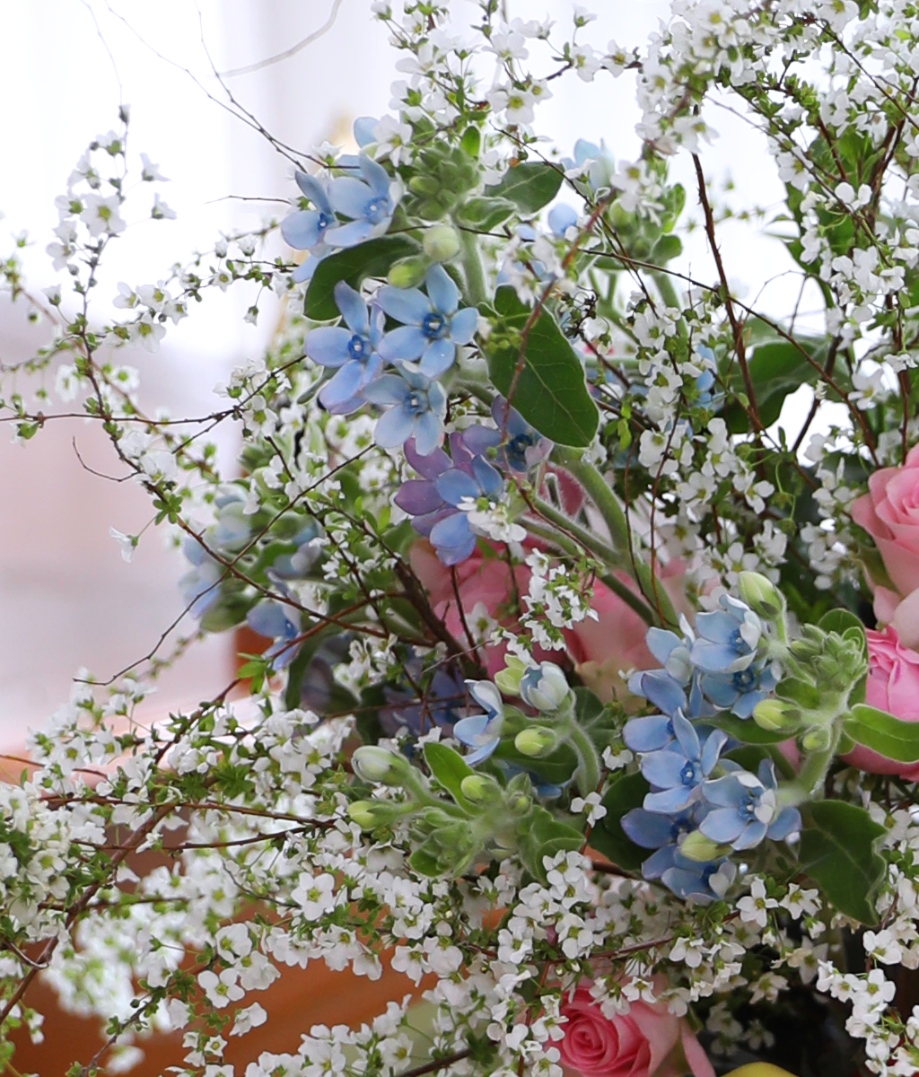 A Basket Filled with Care ���� �ɹ��