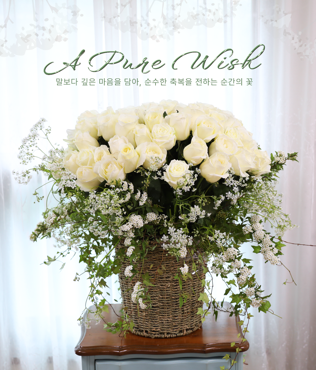 A Pure Wish ���� �ɹ��