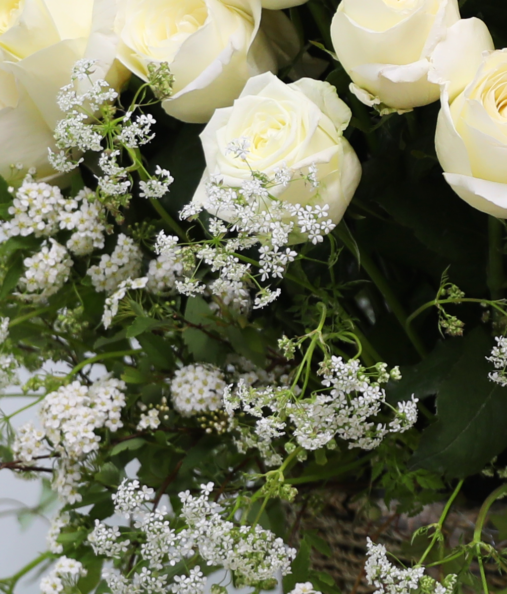 A Pure Wish ���� �ɹ��